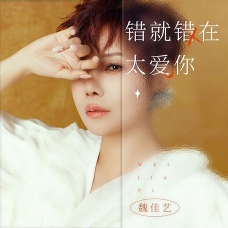 歌曲错就错在太爱你原唱