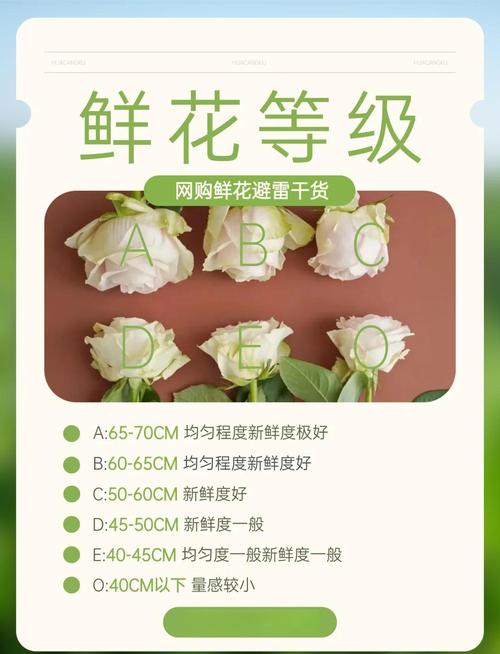 花吱app的评价