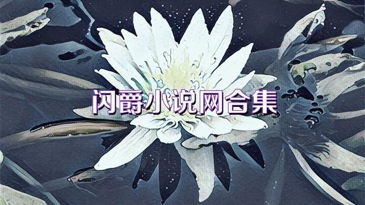 闪爵小说网txt排行榜缩略图