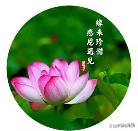 随缘惜缘