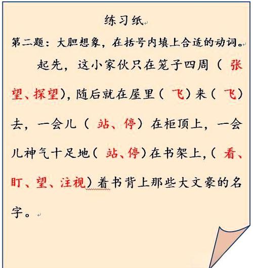 翠鸟阅读理解