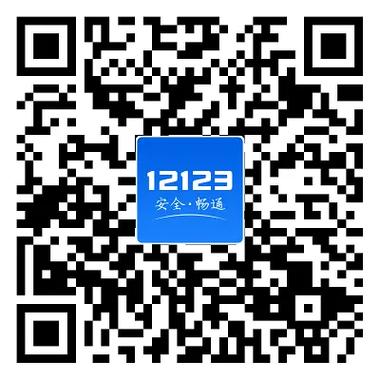 下载,交管12123缩略图