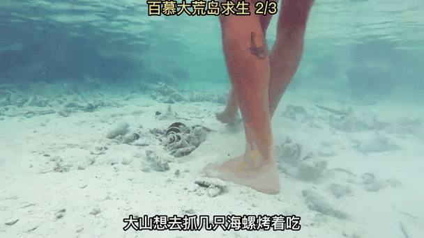 荒岛求生模拟器免广告版