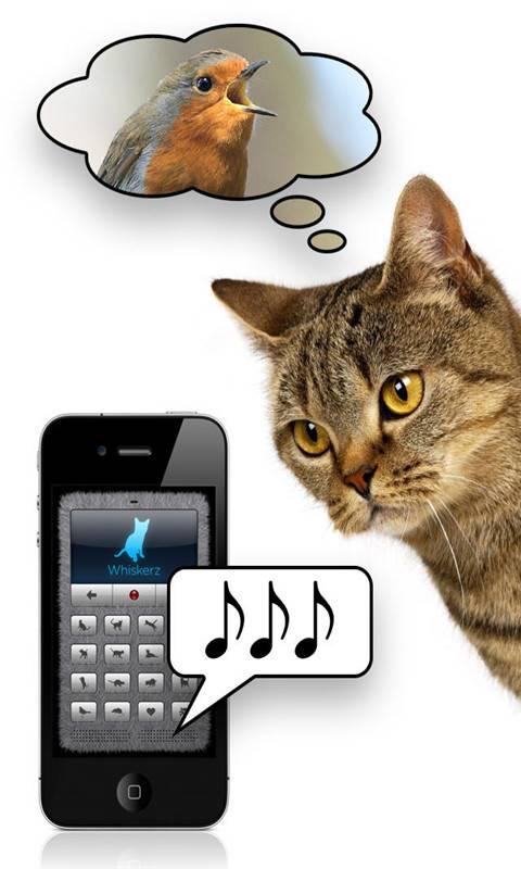 猫咪叫声翻译器缩略图
