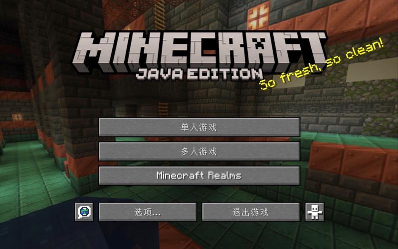 mc1.21版本
