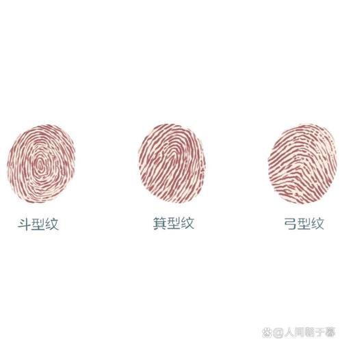 为什么添加指纹失败缩略图