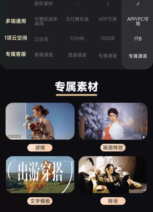探探有必要买svip吗