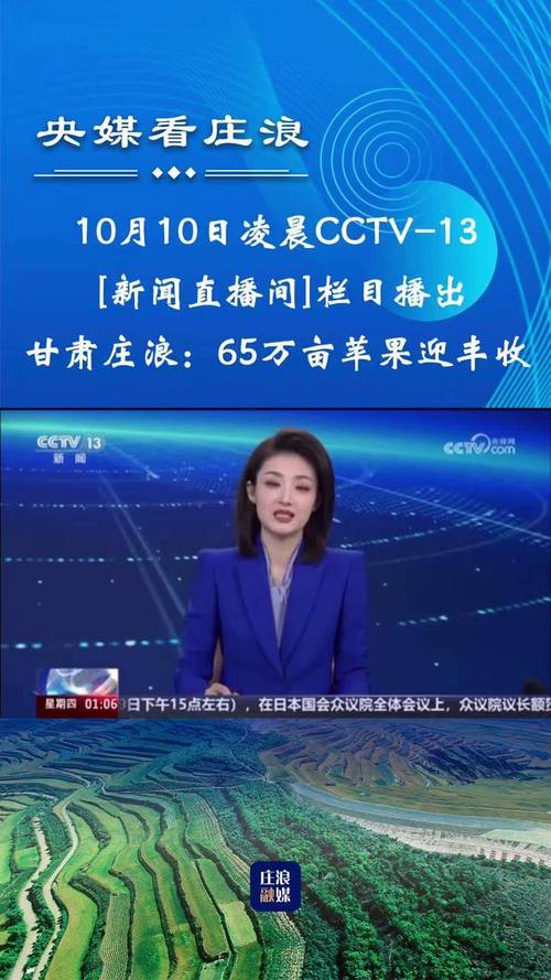 夜半晚报app直播专区