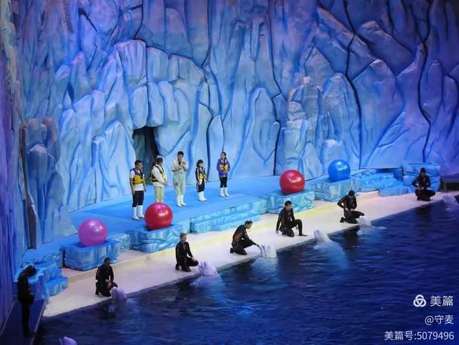海豚三年级阅读答案