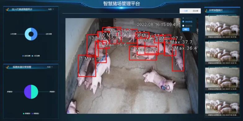 智慧养猪app游戏截图
