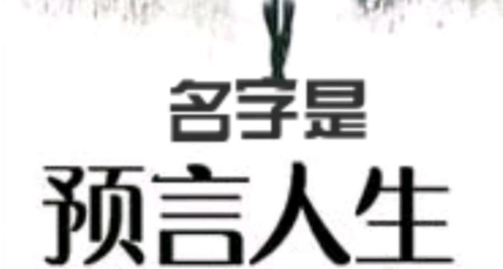 公司测名字免费测试游戏截图