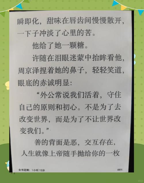 绝美婶小说全文免费阅读缩略图