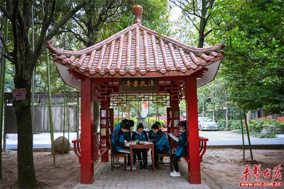 小书 亭游戏截图