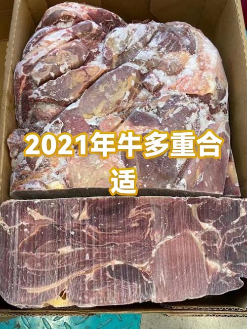 2021的牛是什么牛