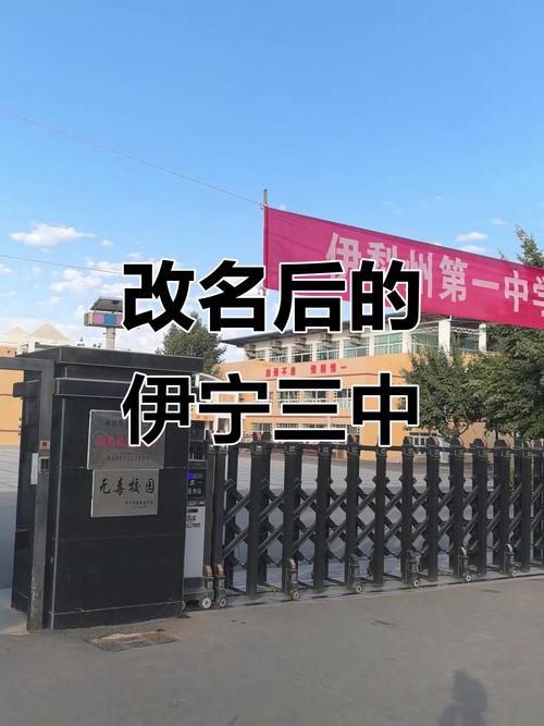 伊宁三中张伊宁缩略图