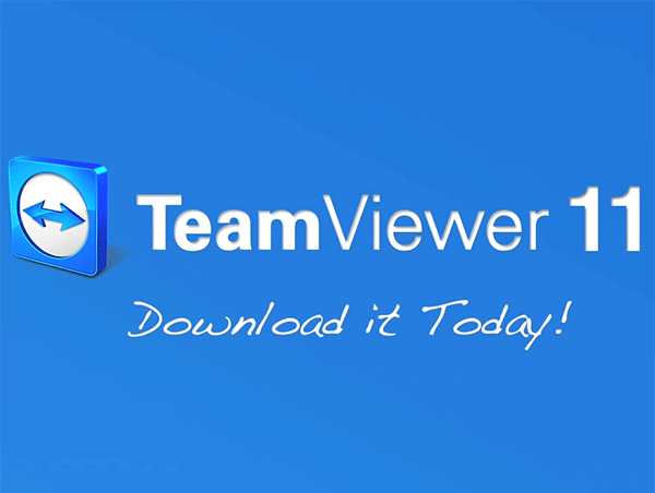 teamviewer13下载官网游戏截图