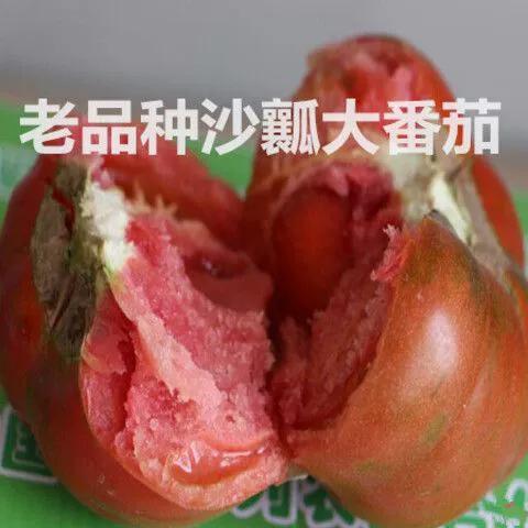 番茄转提现