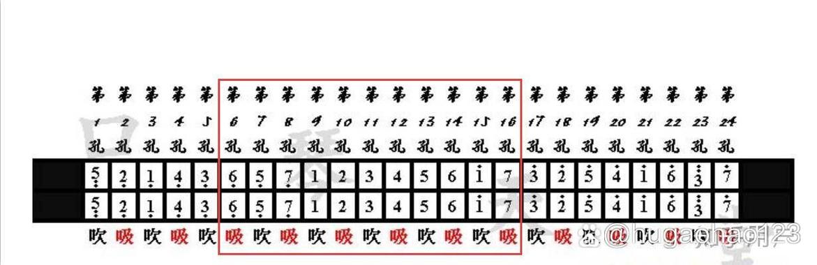 零基础学口琴视频教程
