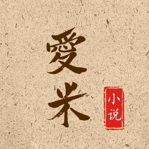 艾米小说免费阅读全文缩略图
