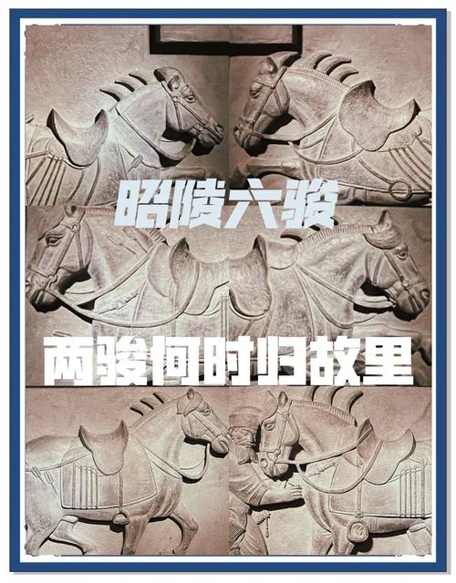 六只脚如何跟踪轨迹