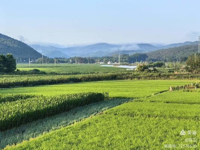 东北的夏天缩略图