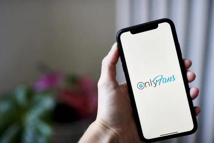 国内怎么使用OnlyFans缩略图