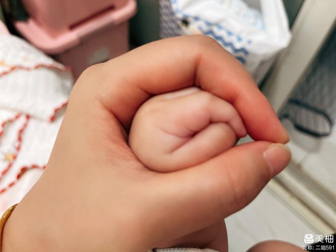 为啥美柚比妈妈树孕育不一样