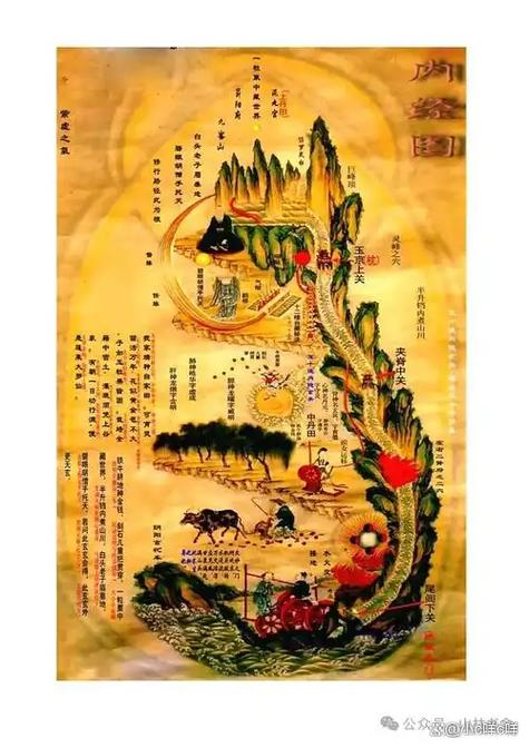 中国玄学论坛