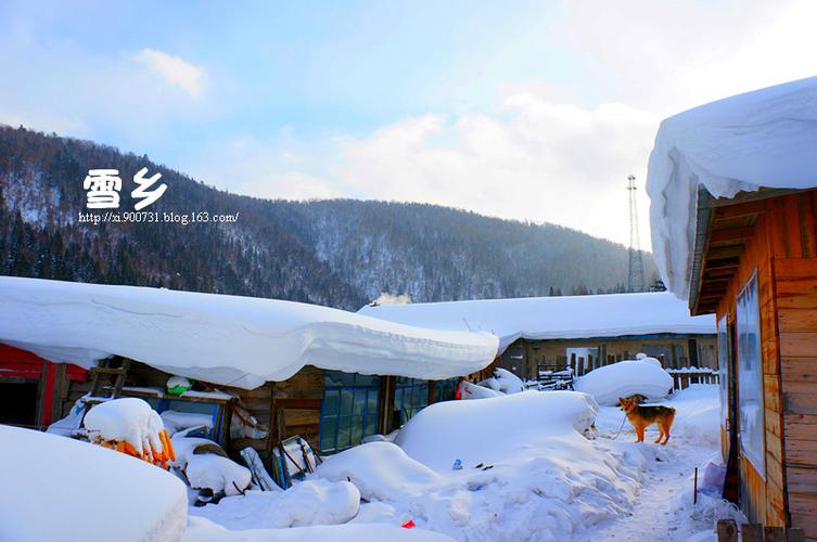 我的世界出生在雪地村庄的种子缩略图