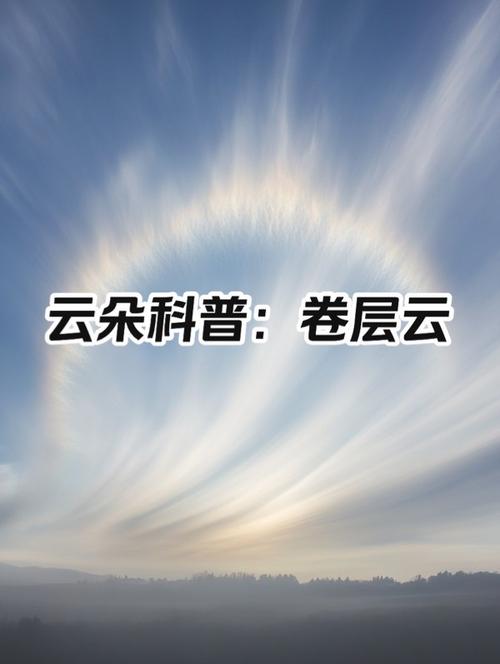 弹幕网站缩略图