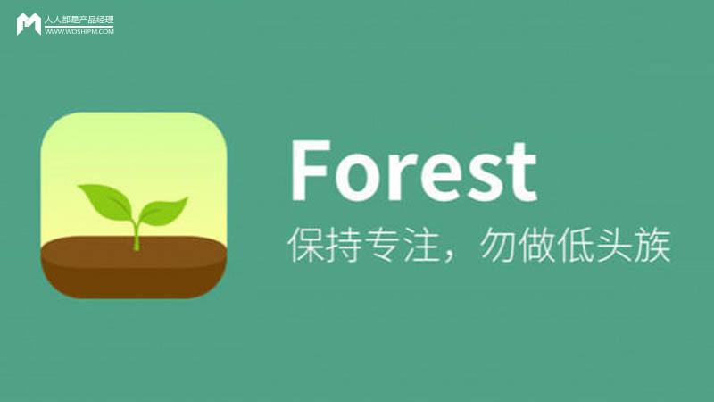 Forest 专注森林
