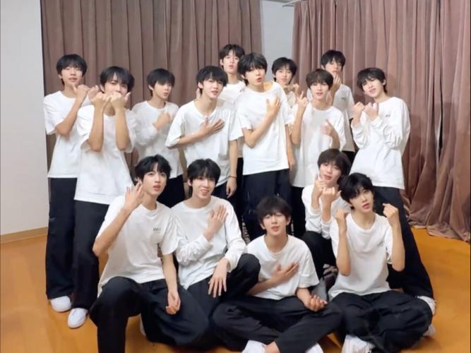 tf家族hustle