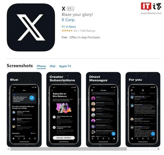 推特免费下载ios游戏截图