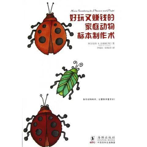 海豚赚钱缩略图