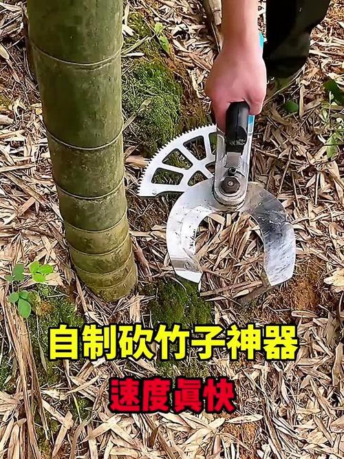 竹子社galgame直装安装包缩略图