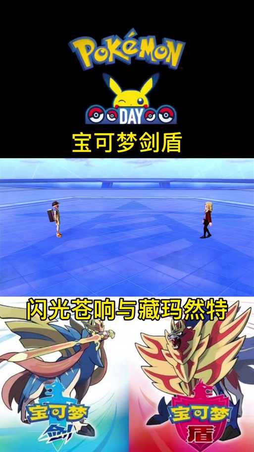 宝可梦剑神兽缩略图