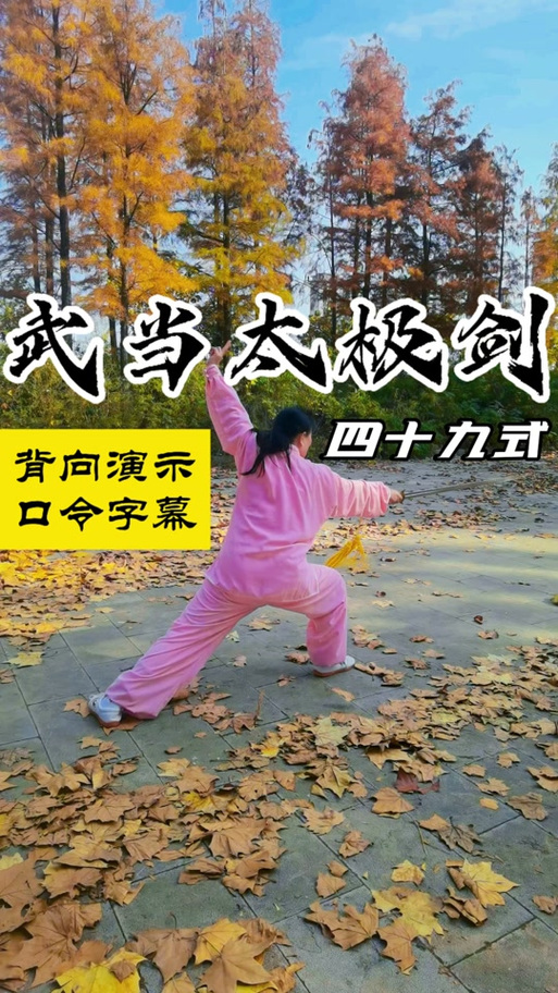 太极剑初学入门基础教学视频缩略图