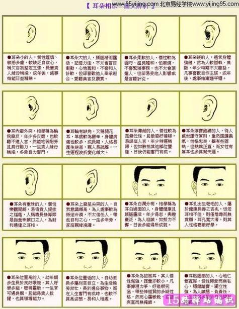 耳相16种图解