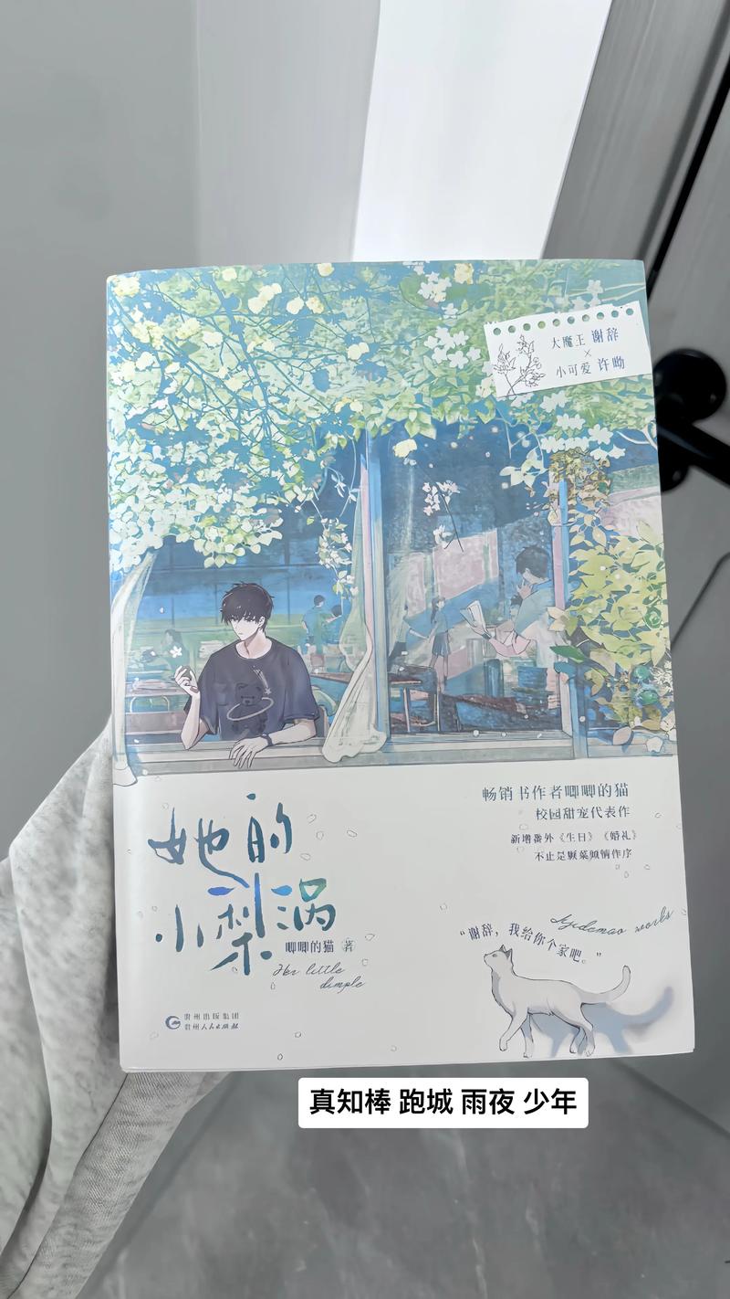 她的小梨涡 小说