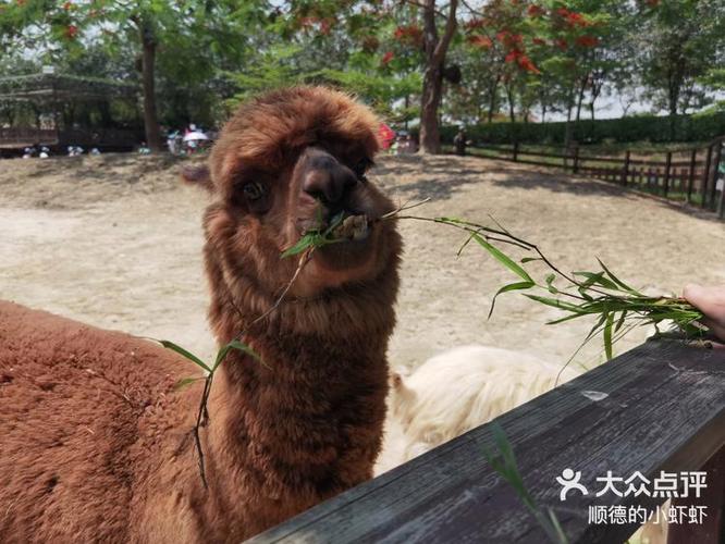 开心牧场怎么玩