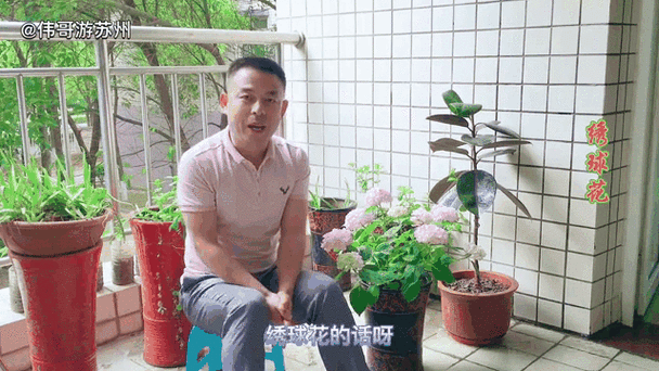 花动传媒