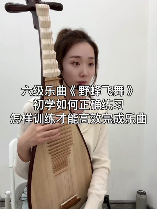 琵琶独奏野蜂飞舞