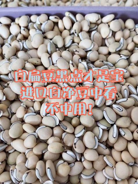 豆丁网的文档怎么免费获取