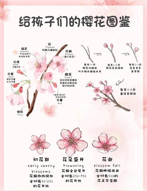缘之空樱花动漫缩略图