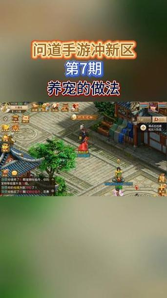 问道刷亲密