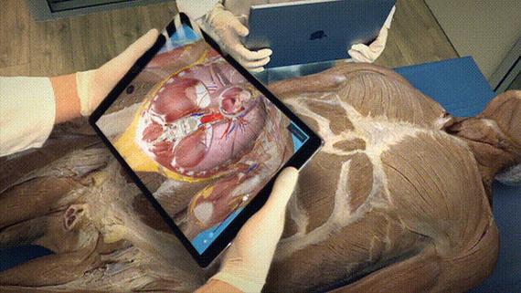 anatomy中文版下载游戏截图