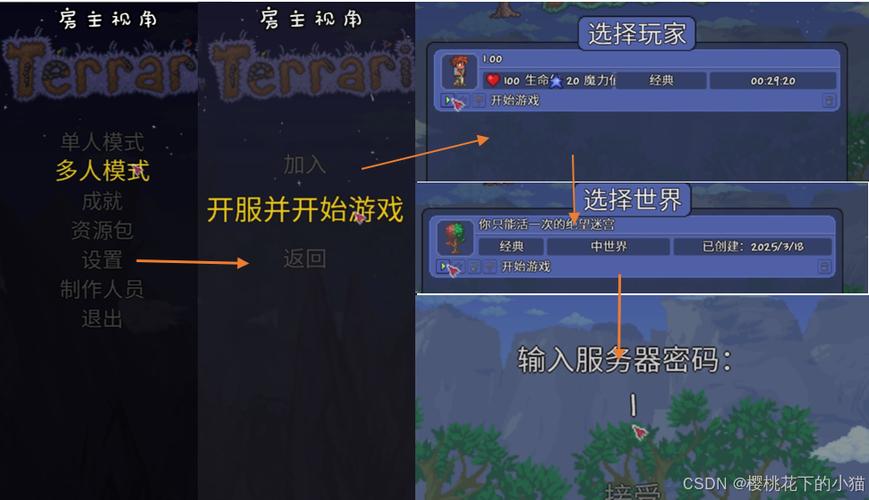 steam泰拉瑞亚联机卡