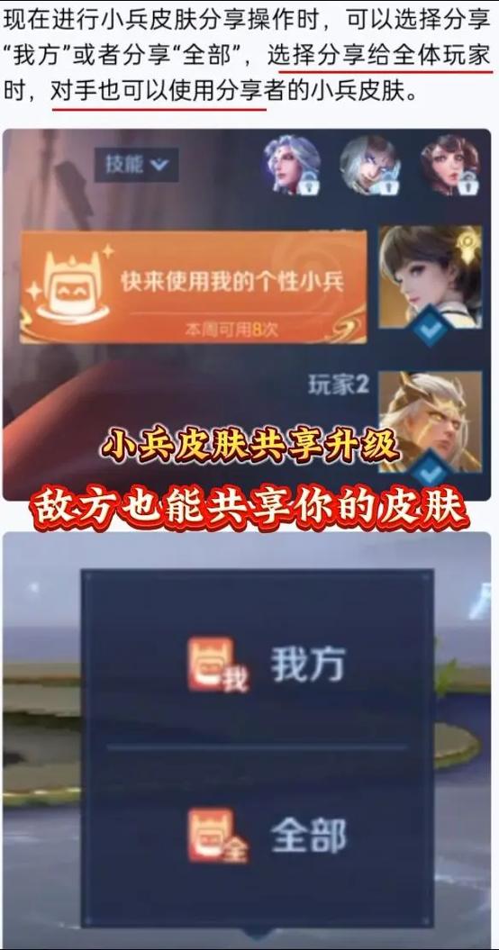 皮肤共享有限制吗