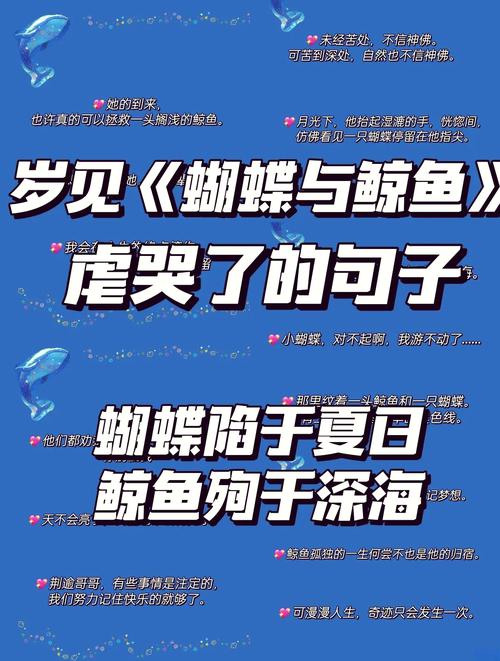 撩鲸全文免费阅读