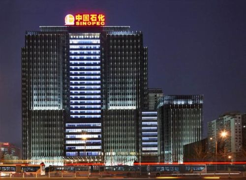中国石化应用中心游戏截图